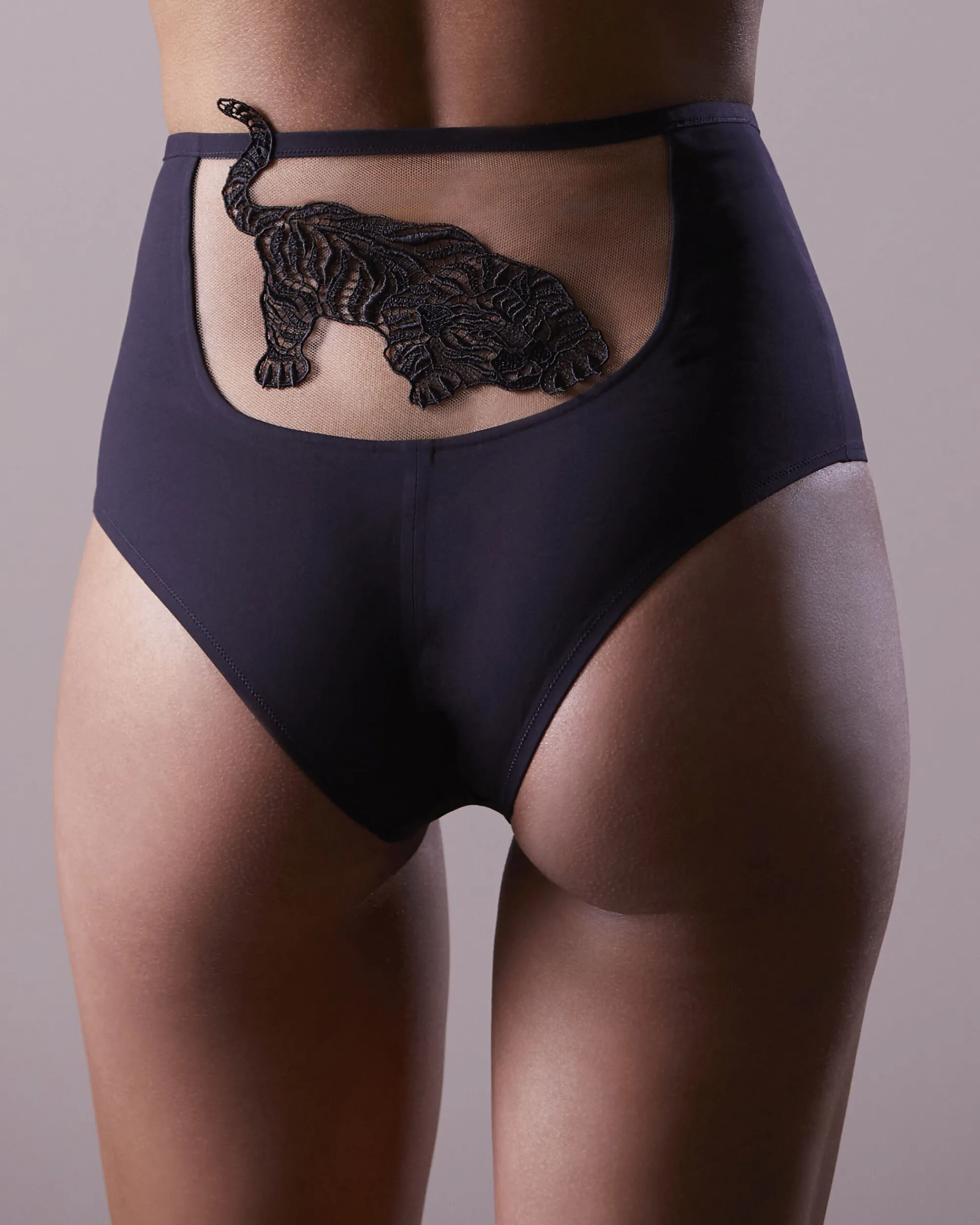 Flash Sale HIGH WAIST BRIEF Briefs & Shortys